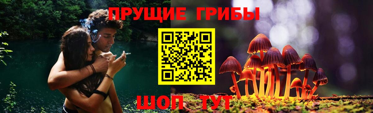 Псилоцибиновые грибы ЛСД  Галлюциногенные грибы Psilocybe  Вход с VPN  закладки  Муром 